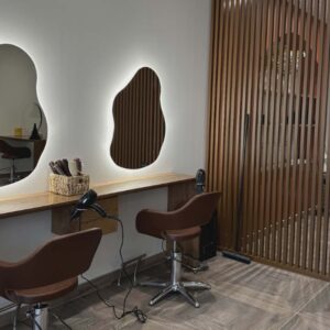 Tertiaire collectif-pizancon-drome-salon maison EF-acadie